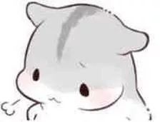 DƬ